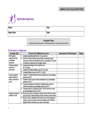 Ceo Evaluation Template  Form