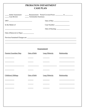 Probation Case Plan Template  Form