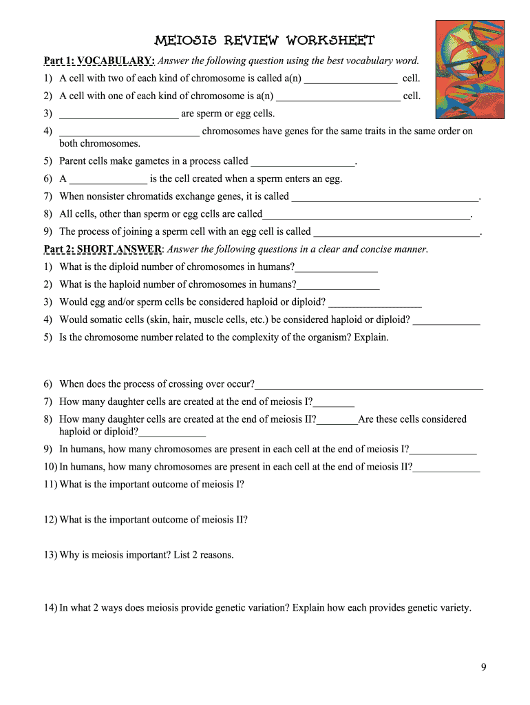 Meiosis Review Worksheet Answer Key  Form