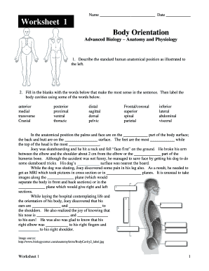 Body Orientation Worksheet Answers  Form