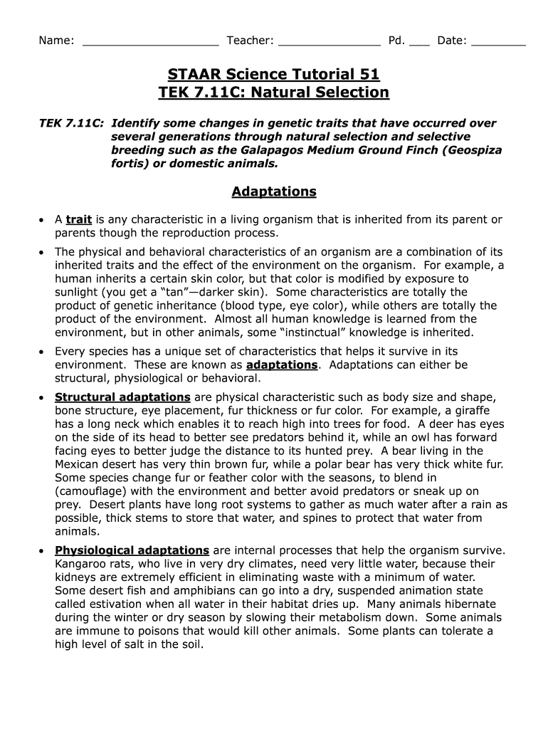 Staar Science Tutorial 51 Answer Key  Form