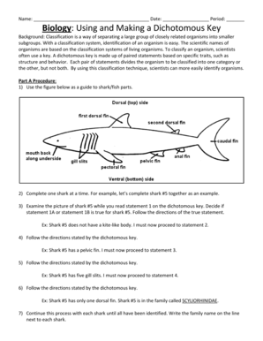 Shark Dichotomous Key PDF  Form