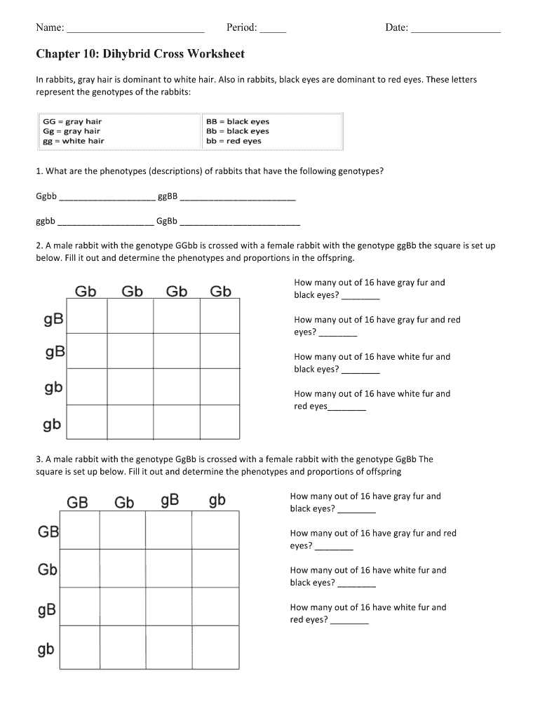 Chapter 10 Dihybrid Cross Worksheet Answer Key Form Fill Out And Sign