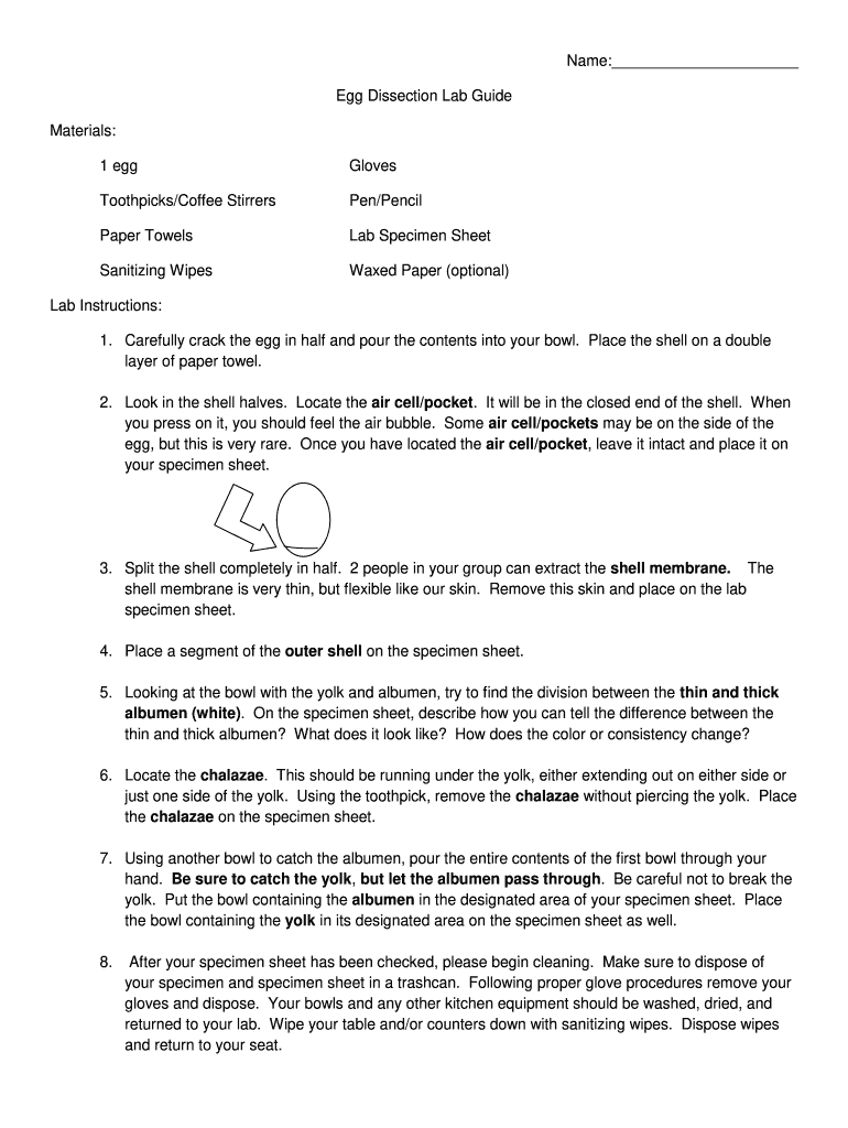 Egg Dissection Lab  Form