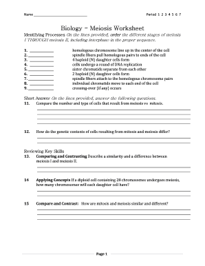 Meiosis Worksheet  Form