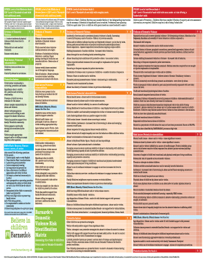 Barnardos Risk Assessment Matrix  Form