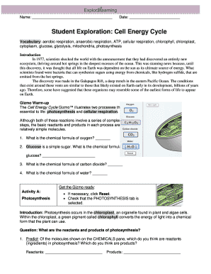 Cell Energy Cycle Gizmo Answer Key  Form