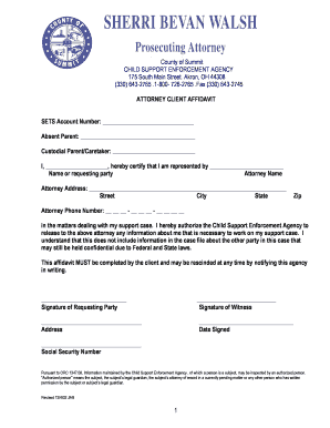 ATTORNEY CLIENT AFFIDAVIT Summit County Ohio  Form