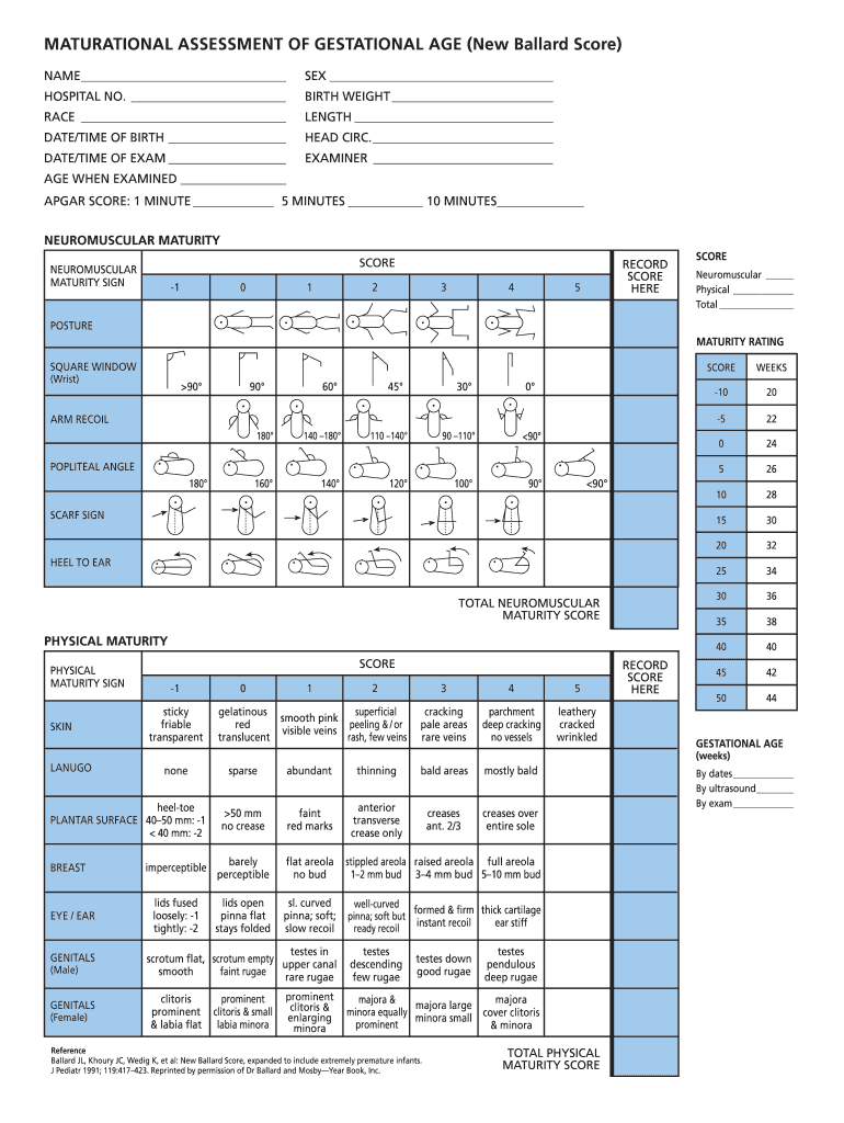 Assessment Ballard Score  Form