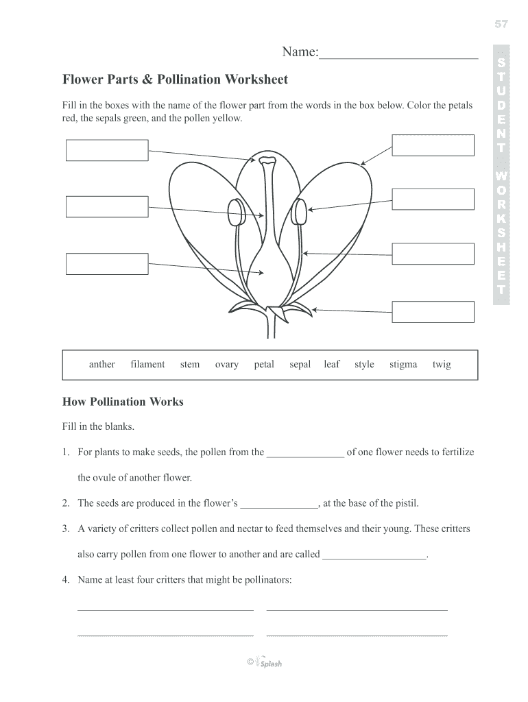 Flower Parts &amp; Pollination Worksheet  Form