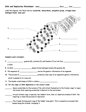 Dna and Replication Worksheet  Form