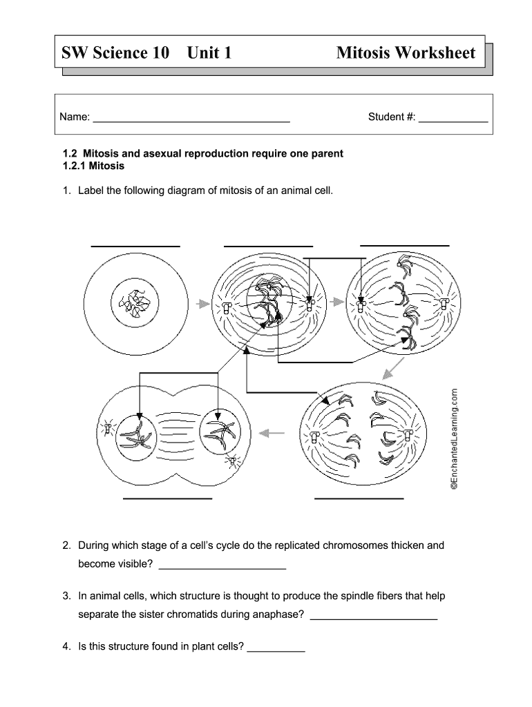 Sw Science 10 Unit 1  Form