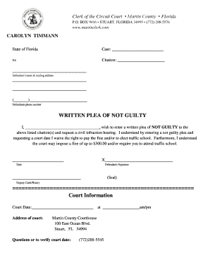 Guilty Plea Template  Form