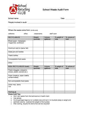 Audit Form