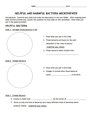 Worksheet Helpful and Harmful Bacteria Answer Key  Form