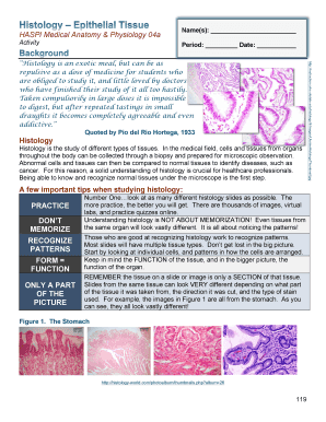 Haspi Medical Anatomy and Physiology 04a Answers  Form