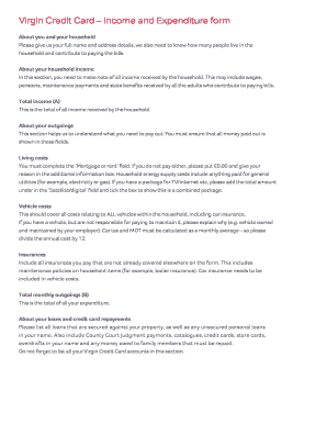 Virgin Money Income and Expenditure Form