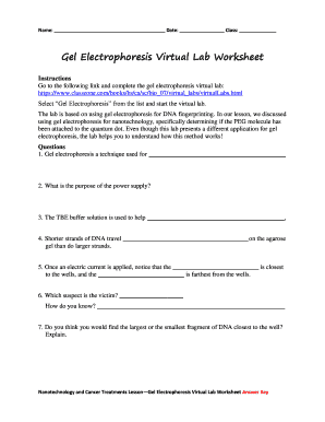 Gel Electrophoresis Virtual Lab Answers  Form