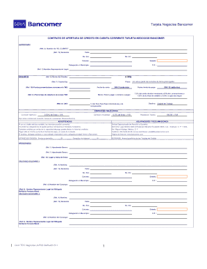 CONTRATO DE APERTURA DE CREDITO EN CUENTA CORRIENTE  Form