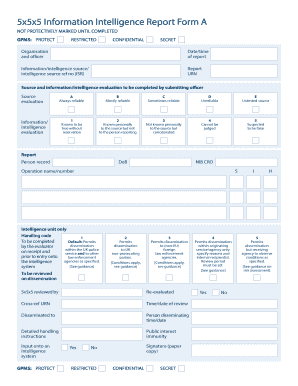 Intelligence Report Format PDF