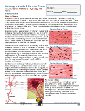 The Muscular System Haspi Answer Key  Form