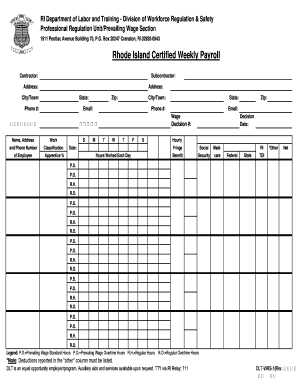 Dlt Ri  Form