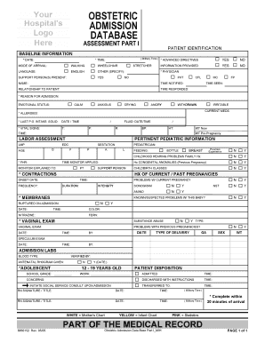 OBSTETRIC ADMISSION DATABASE Hospital Forms