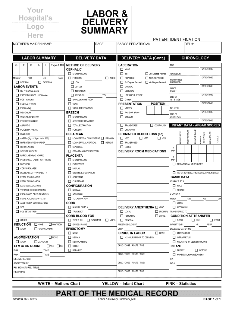 Get and Sign Labor and Delivery Report Sheet 2005-2022 Form