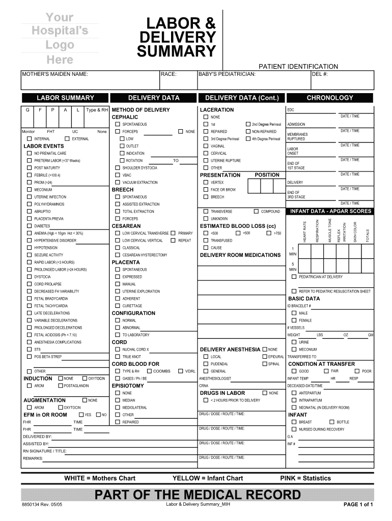  Labor and Delivery Report Sheet 2005-2024