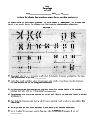 Biology Karyotype Worksheet Key  Form