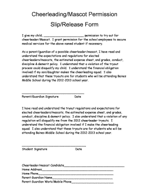 Cheerleading Permission Slip Template  Form