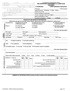 Wic Nutrition Assessment &amp; Care Plan Children Nutrition Services  Form