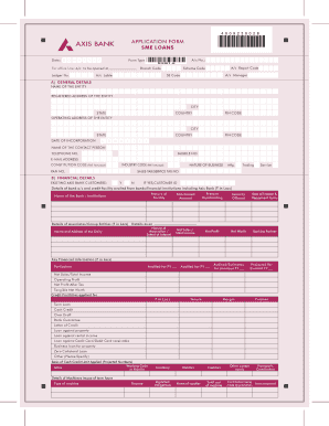 Axis Bank Loan Form