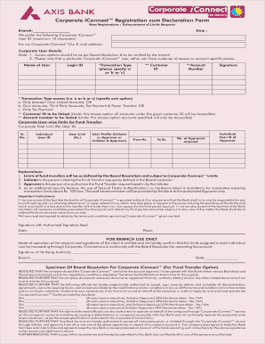 What is Iconnect Payment ID  Form