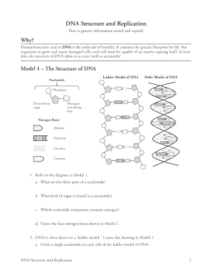 Dna Structure and Replication Worksheet  Form