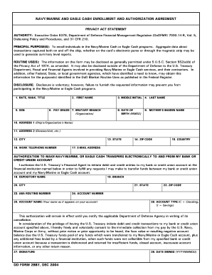 Dd 2887  Form