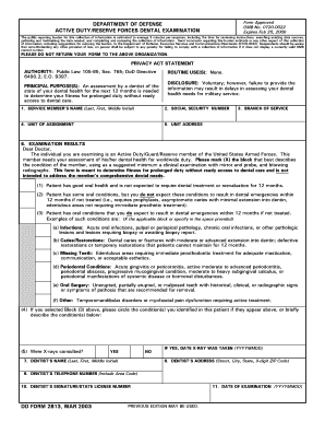 Dd2813  Form