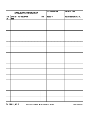 EXPENDABLE PROPERTY ISSUE SHEET CAP FORM 111, NOV 05