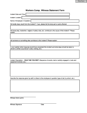 Witness Statement Form PDF