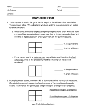 Punnett Square Practice Worksheet PDF  Form