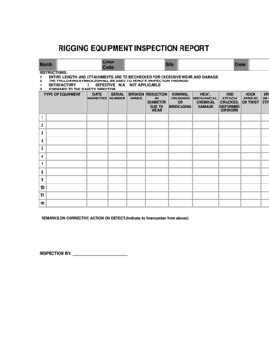 Rigging Inspection Form