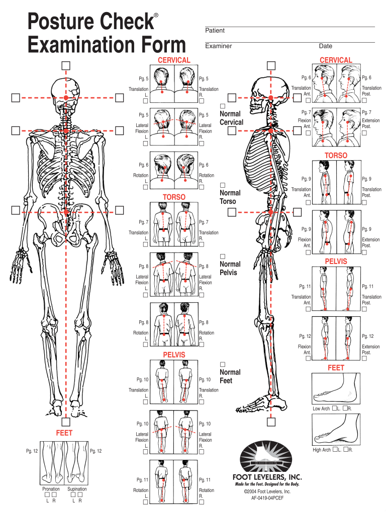 Postural Assessment Form PDF