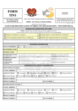 Irc Tin 2 Form PDF