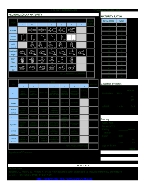 Ballard Score Adalah PDF  Form