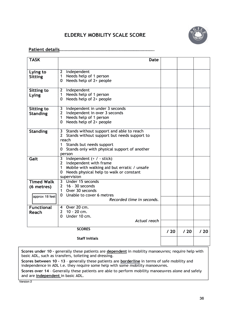 Elderly Mobility Scale  Form