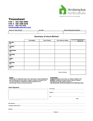 Andersplus Time Sheet Form