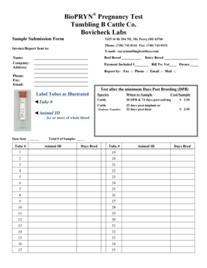 Tumbling B Cattle Company  Form