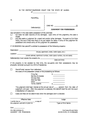 Civ 300 Form