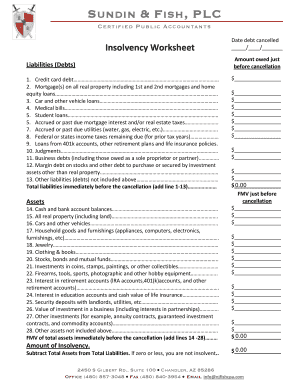 Insolvency Worksheet  Form