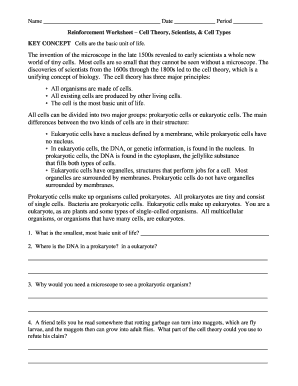 Reinforcement Worksheet Answer Key  Form
